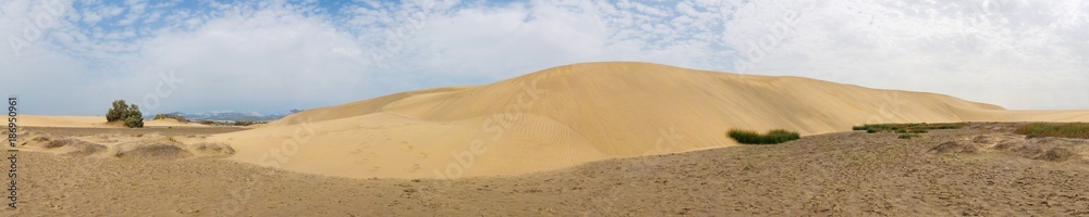 Panorama of the sandy desert