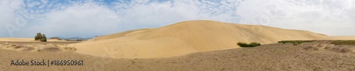Panorama of the sandy desert