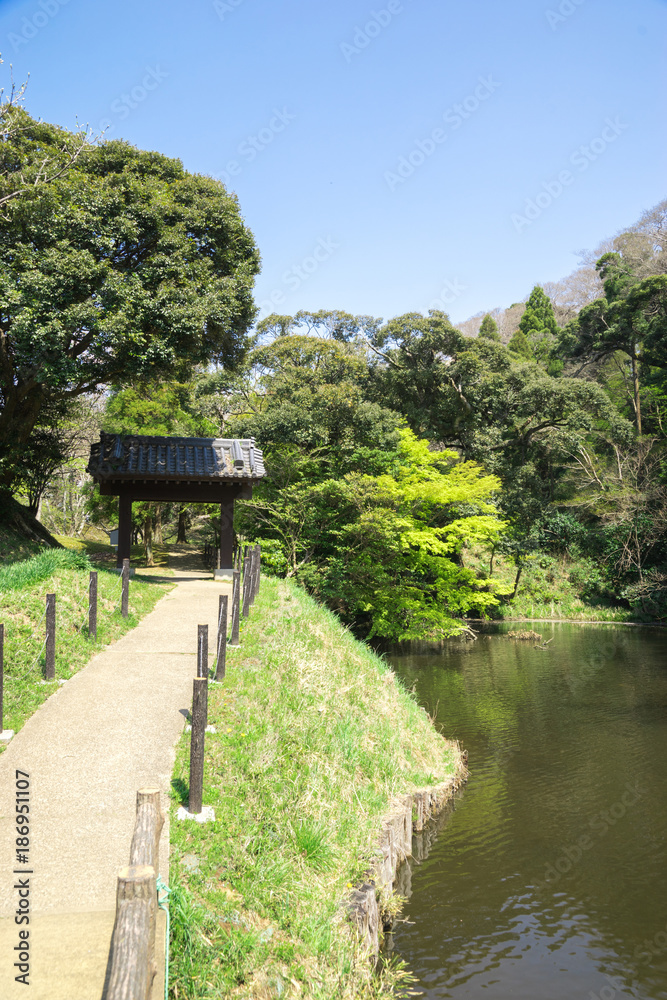 Fototapeta premium 公園の新緑と青空