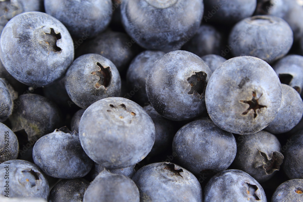fresh blueberry fruits closeup food background texture fresh blueberry fruits closeup food background texture