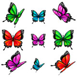 beautiful color butterflies,set, isolated  on a white