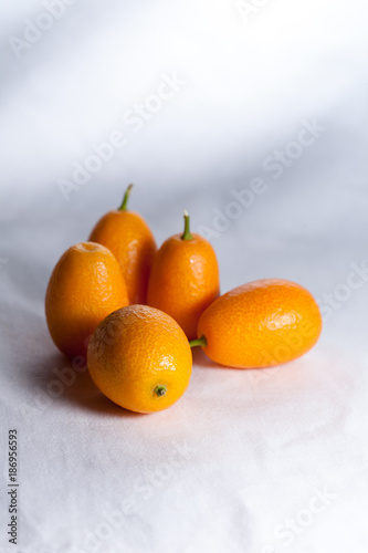 Citrus Japonica © mario
