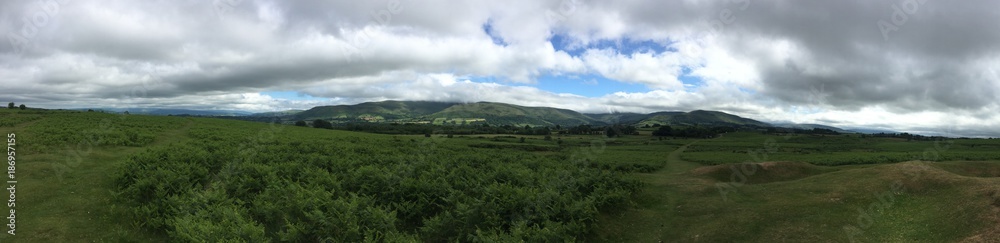 Naklejka premium clone tag: -3078179525477955541