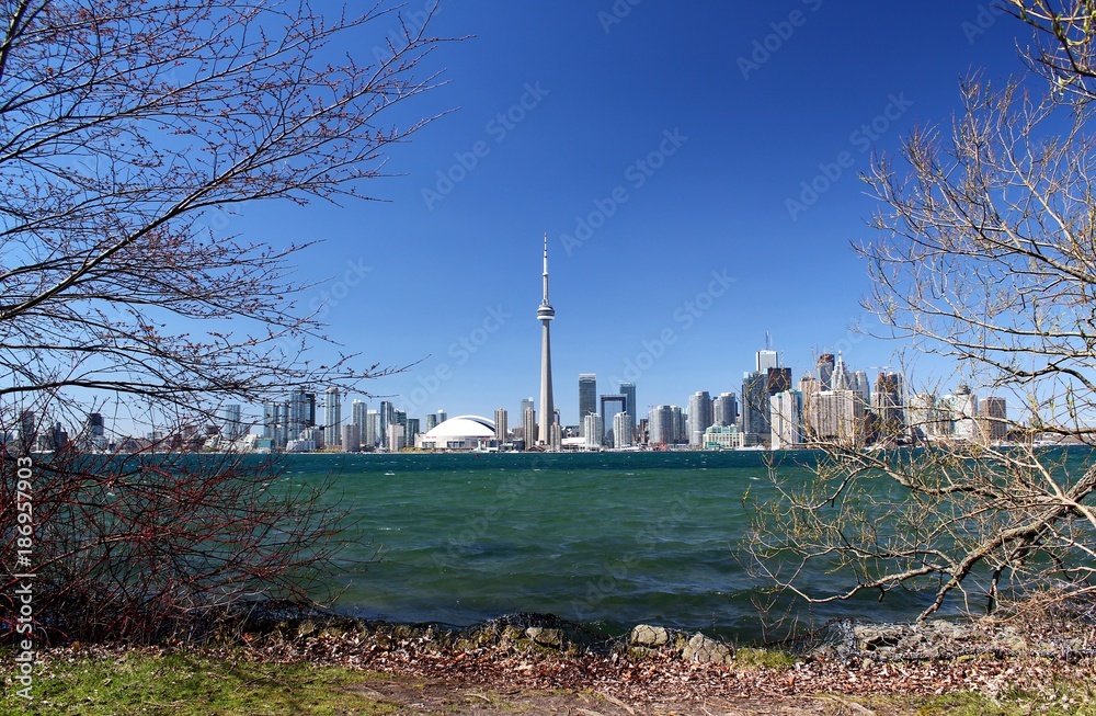 Fototapeta premium Canada / Toronto / Skyline