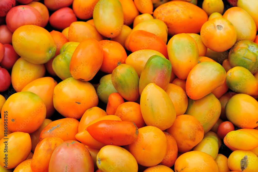 closeup of fresh yellow tomatoes as a background