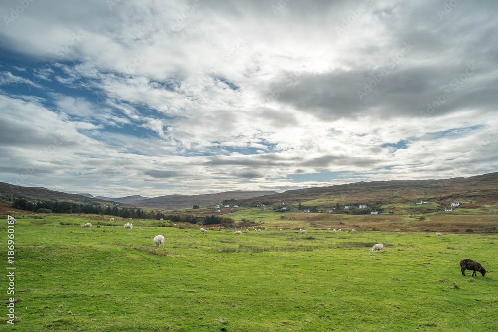 Scenic Landscape View of Mountain, Forest in Scottish Highlands.