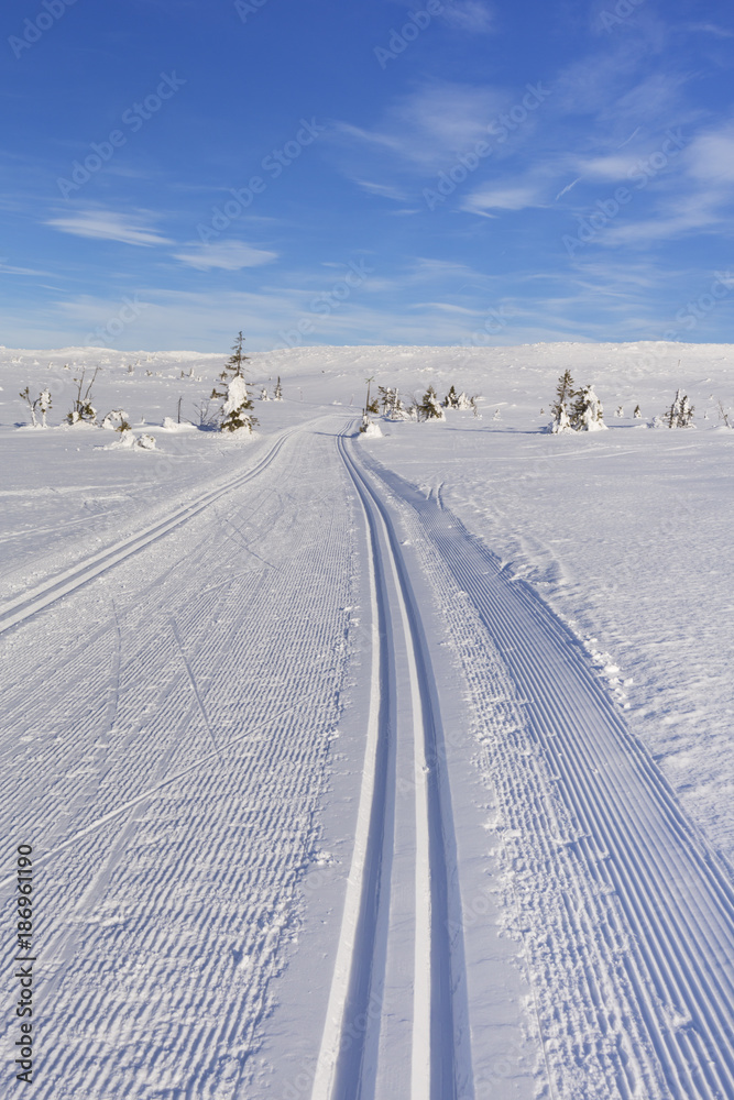 Cross-country trail through a snowy landscape in Trysil, Norway