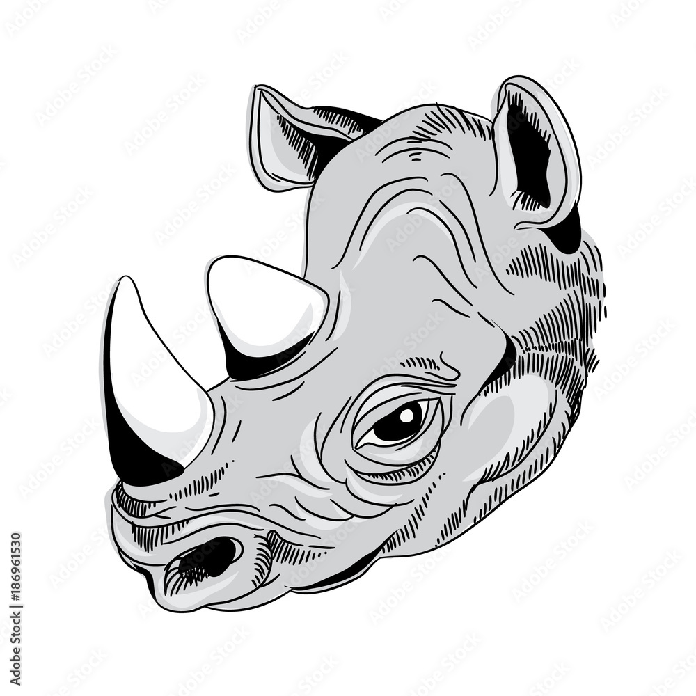 Obraz premium Rhino's head. Vector illustration on white background