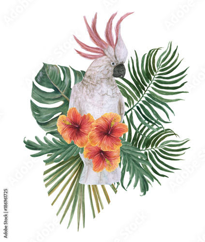 Watercolor painting parrot with tropical floral composition © ramiia