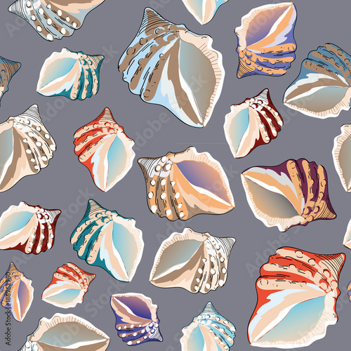 Various beautiful colorful seashells. Seamless pattern. Vector illustration on grey background