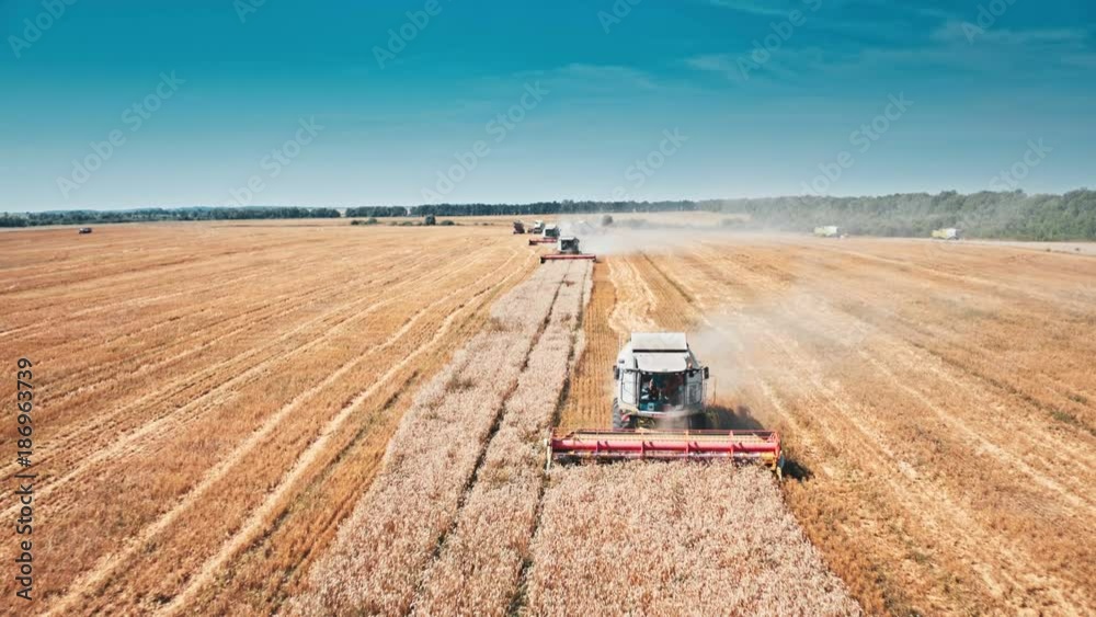 Combine Working On A Wheat Field Combine Working On A Wheat Field