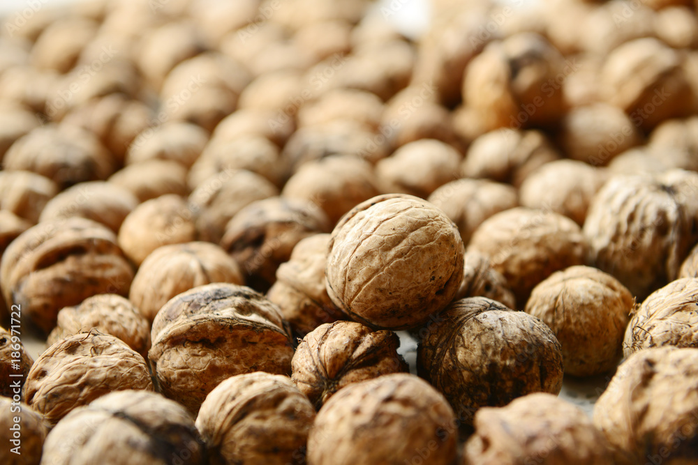 Many fresh walnuts together, close-up Many fresh walnuts together, close-up