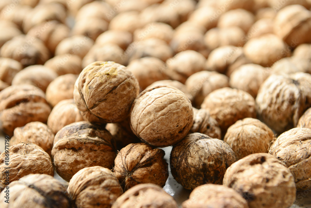 Many fresh walnuts together, close-up