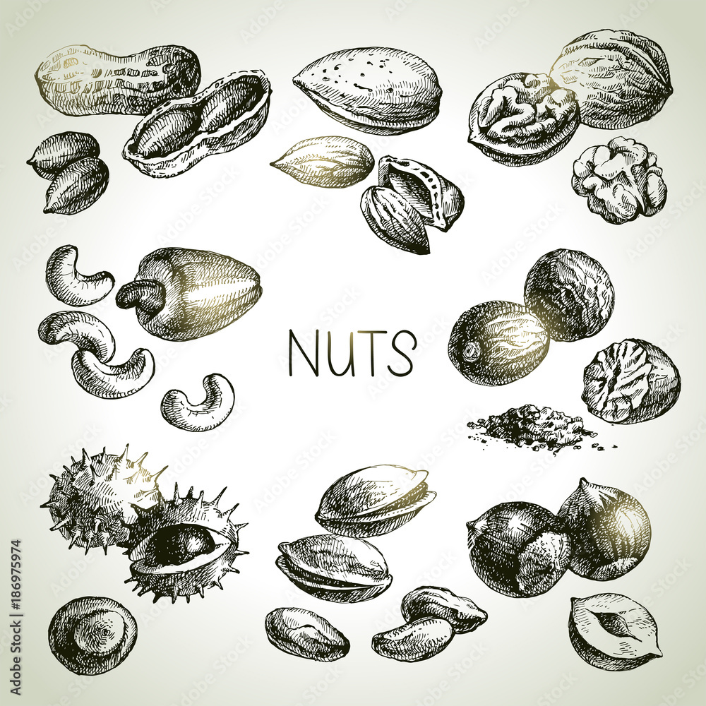 Hand drawn sketch nuts set. Vector illustration Hand drawn sketch nuts set. Vector illustration