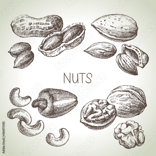 Hand drawn sketch nuts set. Vector illustration of eco food