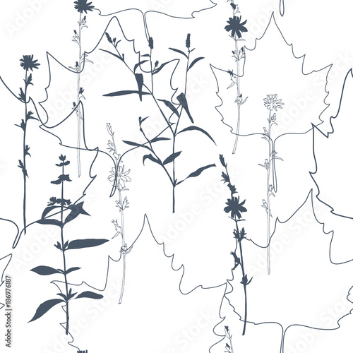 Summer flowers, herbs and leaves floral vector seamless pattern. Realistic botanical background with hand drawn chicory flowers, maple leaves and herbal grasses.