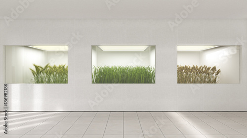 D rendering, Grasses bred in laboratory