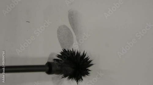 Fingerprints, magnetic powder applicator develops latent print on white paper photo