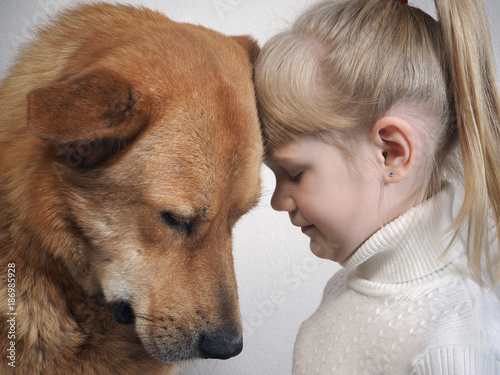 huge dog and little girl. Emotional portrait