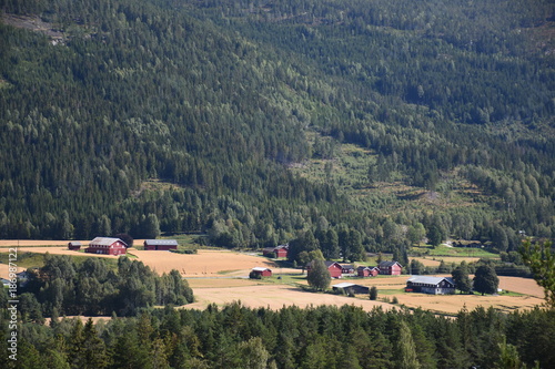 Norwegen, Vikberget, Flå, Berg, Wald, Bauernhof, Gehöft, Natur, Hallingdal, Tal, Buskerud, Turdfjell, Kvisetternatten, Natur, Umwelt, Zivilisation, Sommer photo