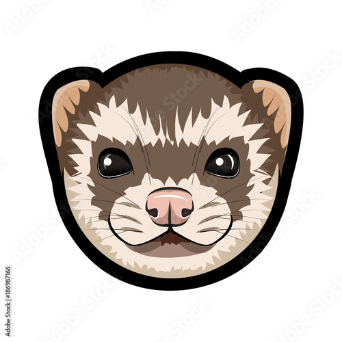 Face of cartoon ferret on the white background.