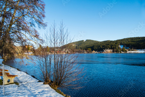 Holzbank am Titisee