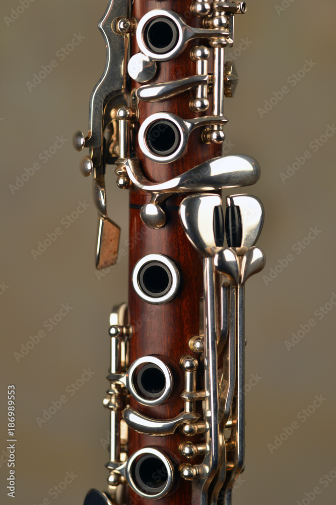 Obraz premium red clarinet detail