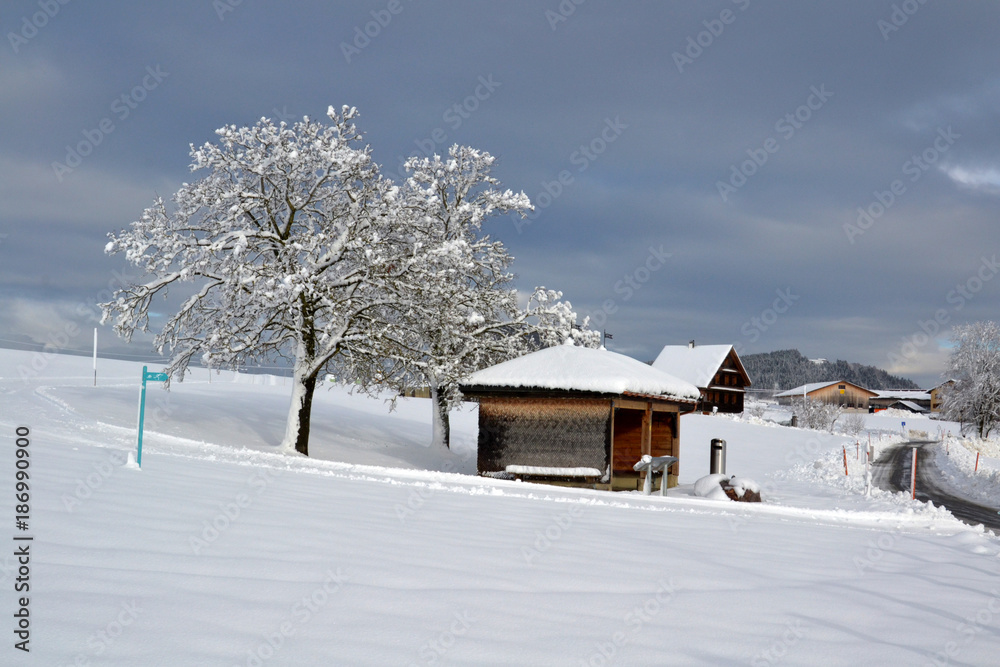 Winter in Zurich