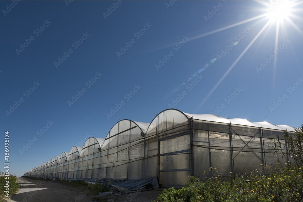 Italy, Ragusa, Santa Croce Camerina, row of greenhouses Italy, Ragusa, Santa Croce Camerina, row of greenhouses