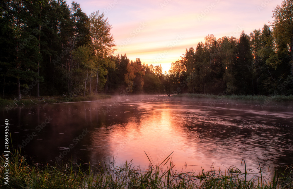 Fototapeta premium River in autumn. Farnebofjarden national park in Sweden