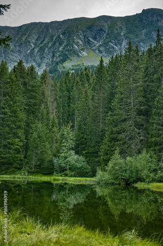 Fototapeta Naklejka Na Ścianę i Meble -  Small forest lake in Alpen mountains, place for relaxation and tranquil vacation