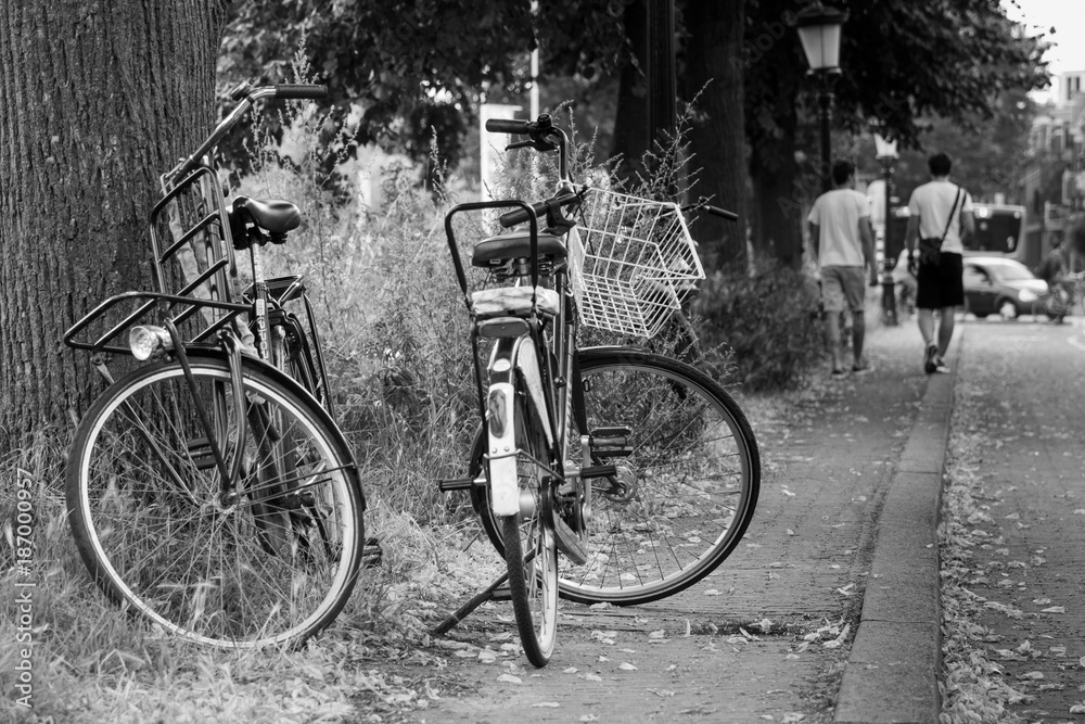 Obraz premium Bikes in Utrecht