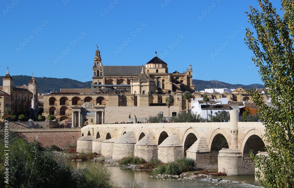 Beautiful view of the Mezquita and the Roman bridge / Cordoba, Andalucia, Spain