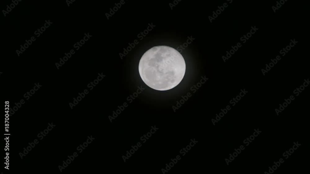 The White Moon Rise from The Bottom to The Top The White Moon Rise from The Bottom to The Top