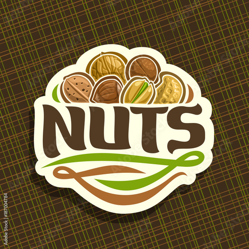 Vector logo for Nuts, cut sign with pile of healthy walnut, australian macadamia nut, sweet almond, forest hazelnut, cracked pistachio, peanut in nutshell, veg mix label with text nuts for vegan store