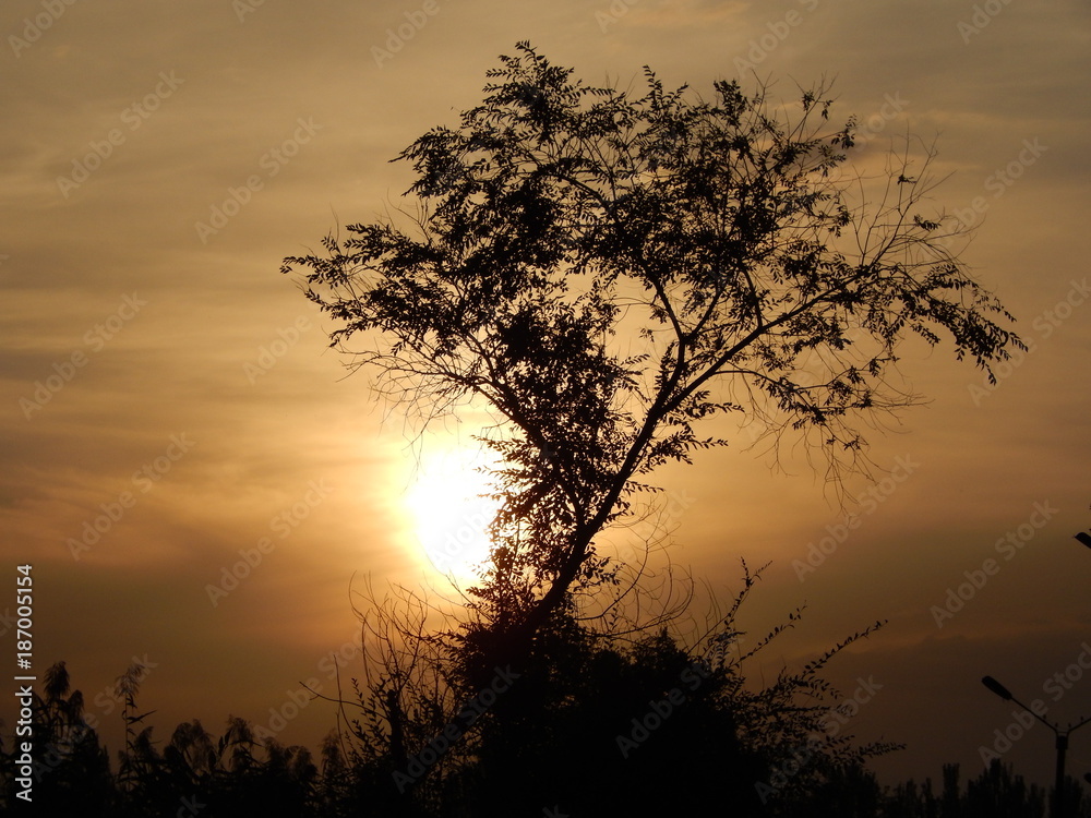  red sunset in the clear sky