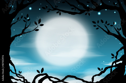 Nighttime sky background with full moon and trees, clouds and stars. Moonlight night. Vector