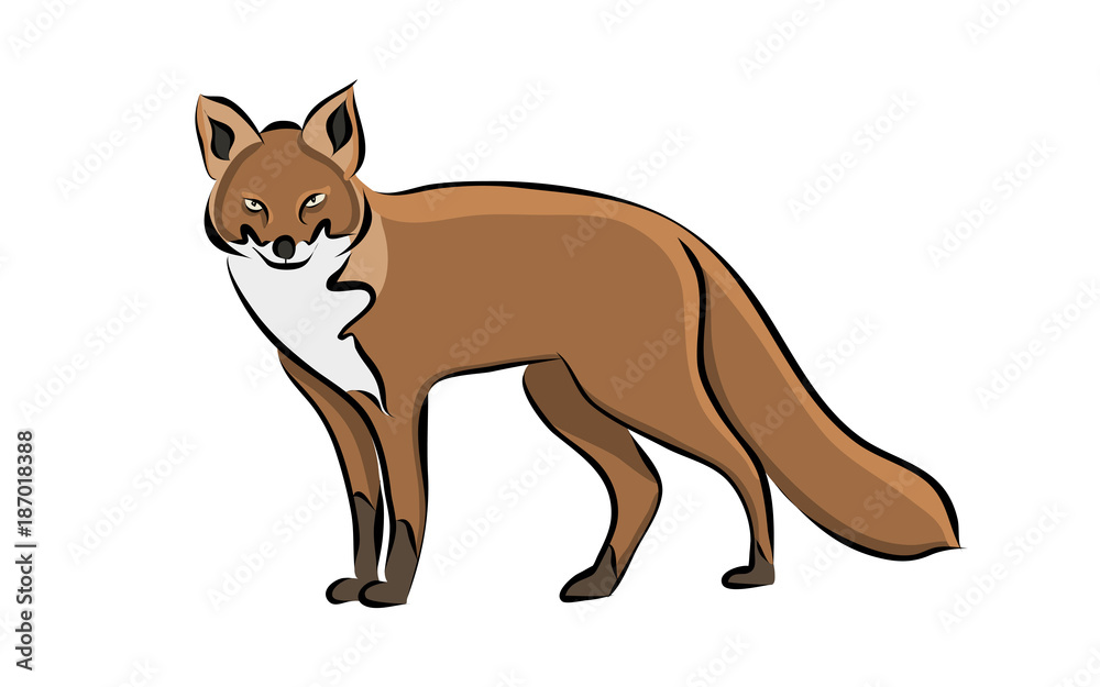 Hand drawn animal fox, vector Hand drawn animal fox, vector