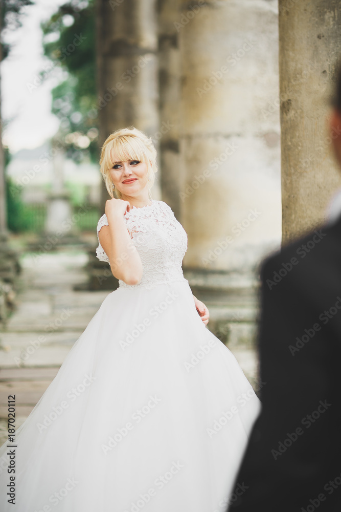 Beautiful romantic wedding couple of newlyweds hugging near old castle Beautiful romantic wedding couple of newlyweds hugging near old castle