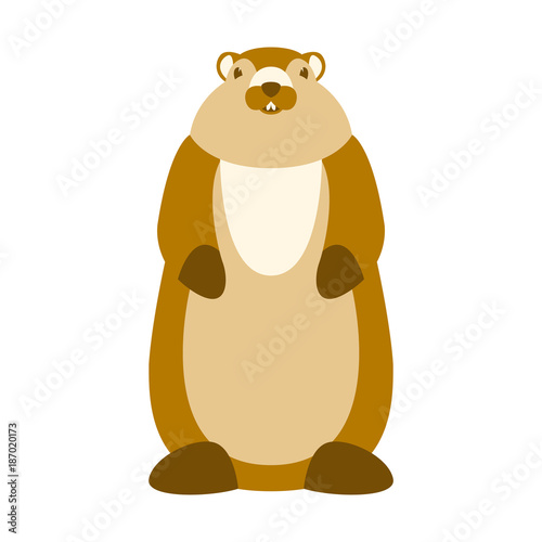 groundhog vector illustration flat style front