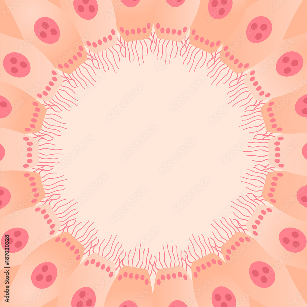 ciliated epithelium medical background