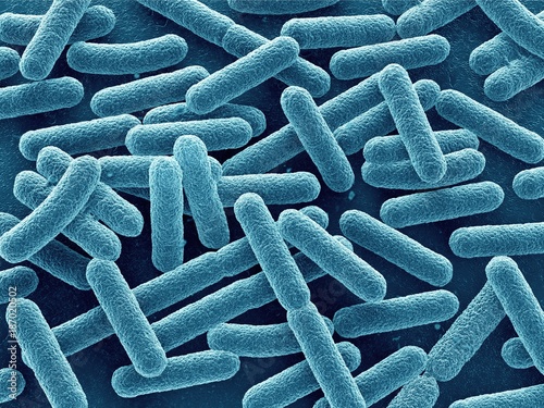 Tableau sur toile Escherichia coli bacteria 3d close up. Rod-shaped.