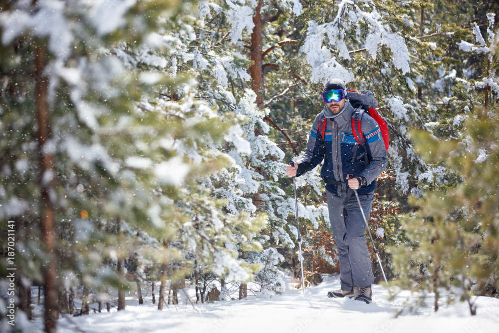Sportsman hiking throw snowy forest