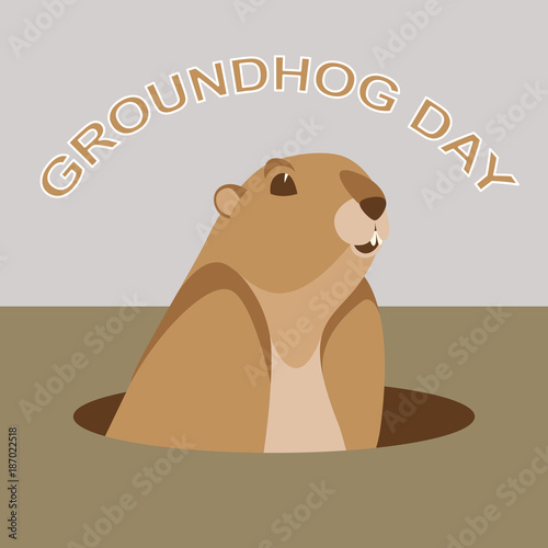 groundhog   head vector illustration flat style front
