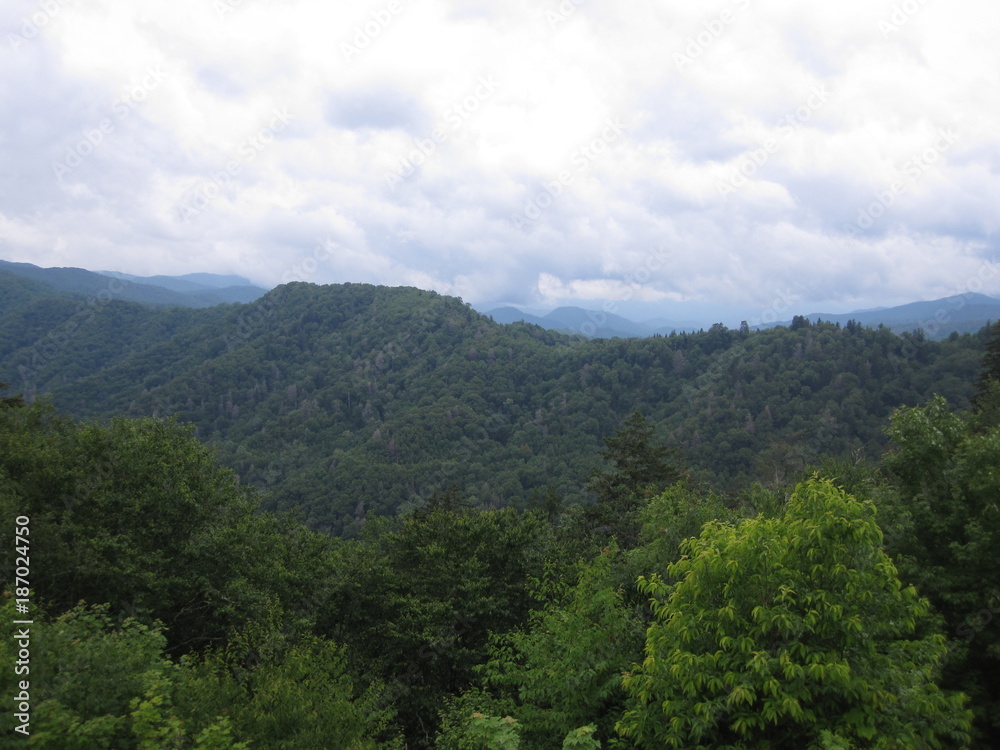 Fototapeta premium Smokey Mountains 2