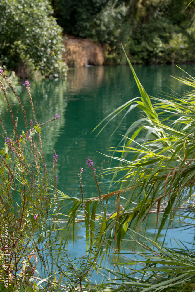 Krk National Park - Croatia - A Day in the beautiful Nature