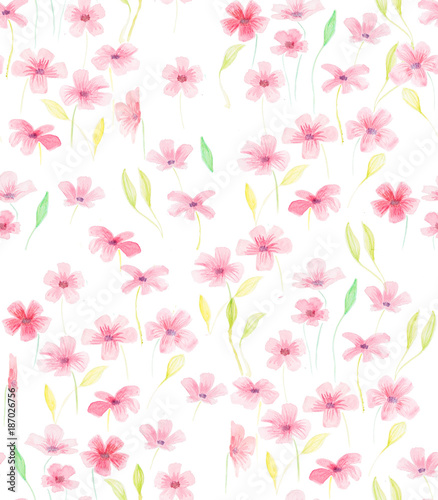 Hand painted with watercolor brush seamless pattern with red and rose geraniums illustration isolated on white background © Barbara Marini