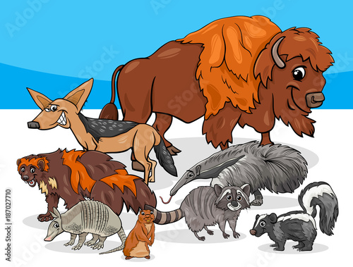 American animals group cartoon illustration