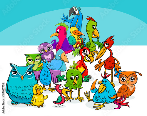 colorful birds group cartoon illustration