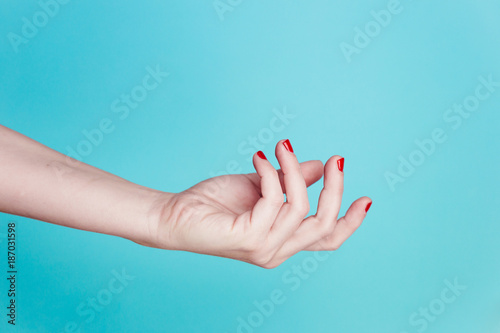A woman's hand photo